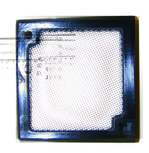 Oil Pump Screen - Sea-Doo PWC (420856520)