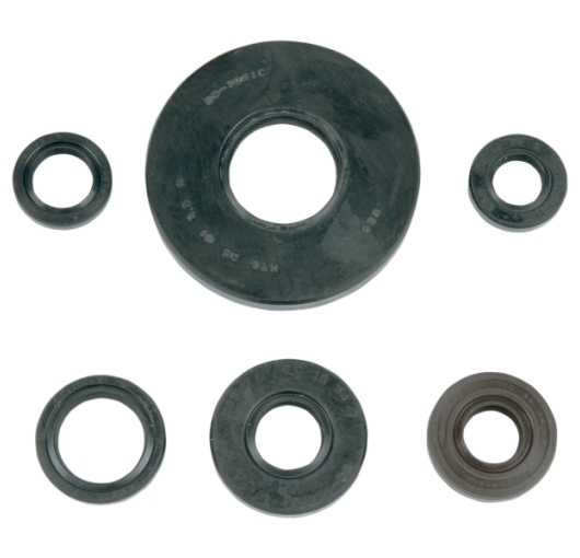 Engine Oil Seal Kit - Honda ATV (300 TRX 2x4)