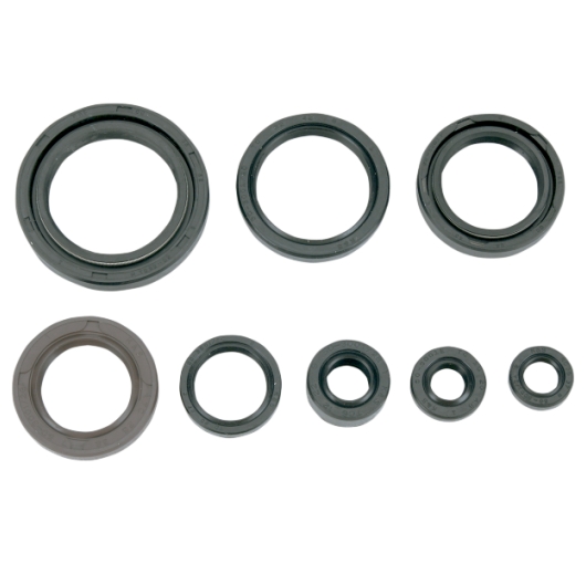 Engine Oil Seal Kit - Suzuki ATV (250R LT Quad Racer 85-86)