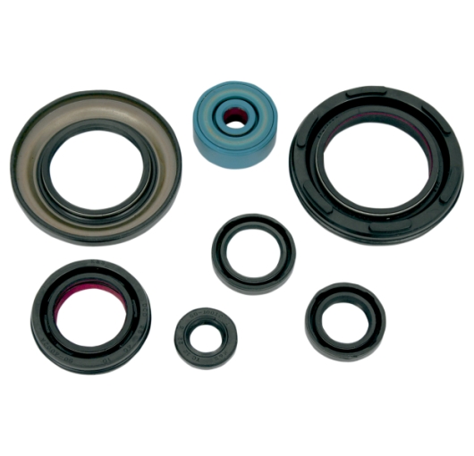 Engine Oil Seal Kit - Yamaha ATV (350 YFZ Banshee 87-06)