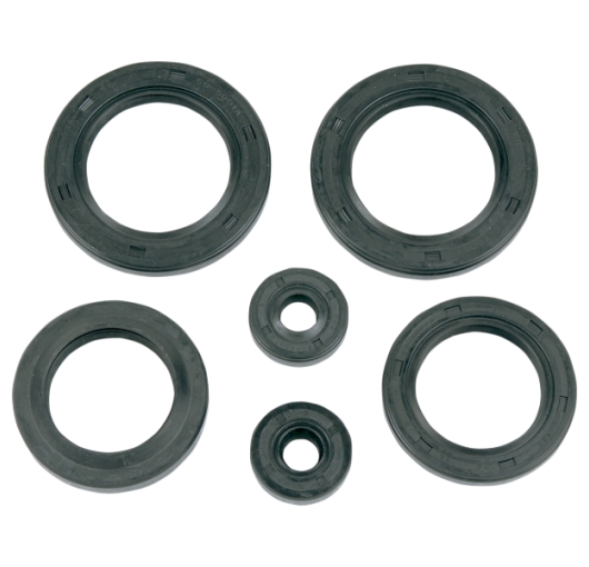 Engine Oil Seal Kit - Polaris ATV (250-300cc)