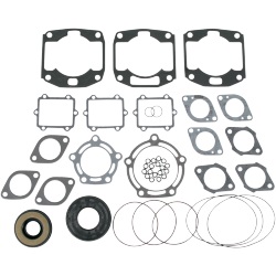 Full Engine Gasket Set - Arctic Cat PWC (1000 Tigershark 97-98)