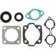 Full Engine Gasket Set - Arctic Cat (60 Kitty Cat 77-99)