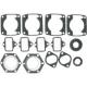 Full Engine Gasket Set - JLO/Cuyuna (2F440/8+ Manual 76-81 )