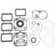 Full Engine Gasket Set - Polaris (600 IQ Racer/Euro 08-11)