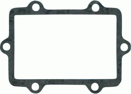 Reed Gasket Set - Ski-Doo (800 HO LC)