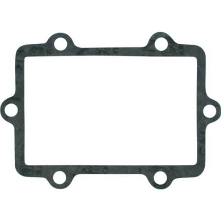 Reed Gasket Set - Polaris (440 Pro X)