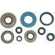 Engine Oil Seal Kit - Honda ATV (450R TRX 04-05)